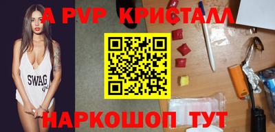 spice Кингисепп